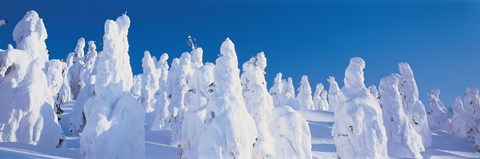 Framed Snow Covered Trees, Zao Yamagata Japan Print