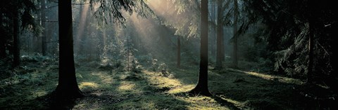 Framed Ekero Uppland Sweden Print