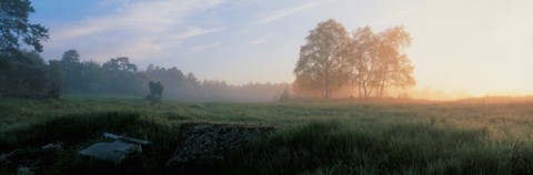 Framed Sunrise in Lovo Uppland Sweden Print