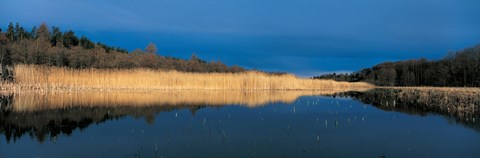 Framed Stafsund Uppland Sweden Print