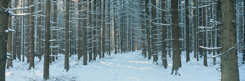 Framed Germany Print