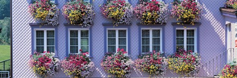 Framed Purple House with Flowers, Appenzell Switzerland Print