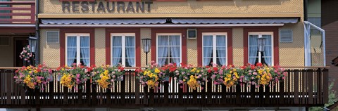 Framed Restaurant Windows, Appenzell Switzerland Print