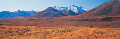 Framed Yukon Territory Canada Print