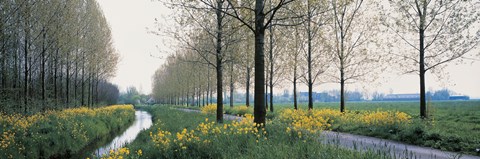 Framed Dordrecht Holland Netherlands Print