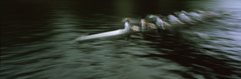 Framed Crew racing, Seattle, Washington State, USA Print