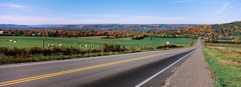 Framed Road passing through a field, Finger Lakes, New York State, USA Print