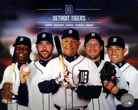 Framed Detroit Tigers 2014 Team Composite Print