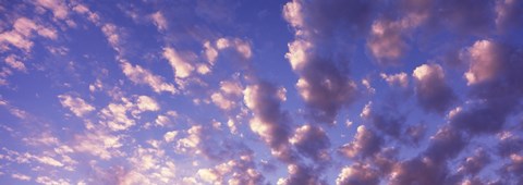 Framed Low angle view of clouds, Caribbean Sea Print