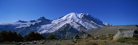 Framed Mountain covered with snow, Mt Rainier, Mt Rainier National Park, Pierce County, Washington State, USA Print