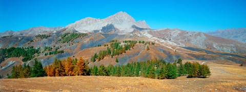 Framed Champs pass in autumn, French Riviera, Provence-Alpes-Cote d'Azur, France Print