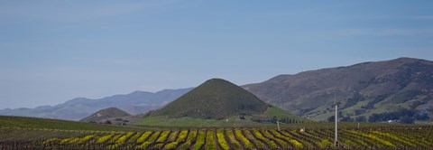 Framed Vineyard with a mountain range in the background, Edna Valley, San Luis Obispo County, California, USA Print