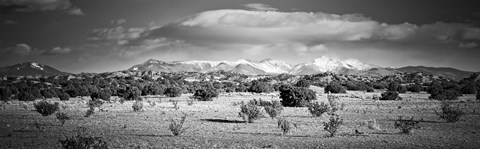 Framed High desert plains landscape with snowcapped Sangre de Cristo Mountains in the background, New Mexico (black and white) Print