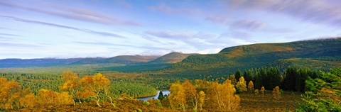 Framed Autumn trees at Loch an Eilein, Rothiemurchus Forest, Aviemore, Cairngorms National Park, Highlands Region, Scotland Print