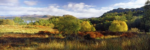 Framed Autumn Rrees at Loch Carron, Scotland Print