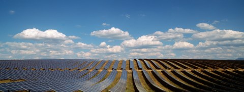 Framed Solar panels in a field, Provence-Alpes-Cote d&#39;Azur, France Print