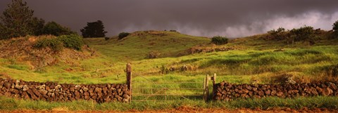 Framed Stone wall in a field, Kula, Maui, Hawaii, USA Print