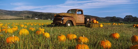 Framed Old Rusty Truck in Pumpkin Patch, Half Moon Bay, California, USA Print