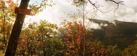 Framed Trees with Sunset Rock sign, Kaaterskill Falls area, Catskill Mountains, New York State, USA Print