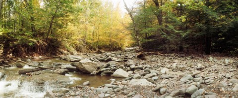 Framed Creek running through the Catskills, Kaaterskill Falls, New York State, USA Print