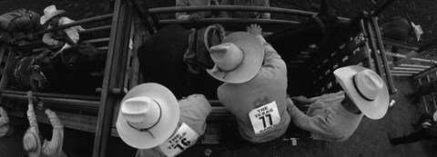 Framed High angle view of cowboys with horses at rodeo, Wichita Falls, Texas, USA Print