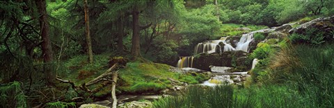 Framed Waterfall in a forest, Pistyll Rhaeadr, Powys, Wales Print