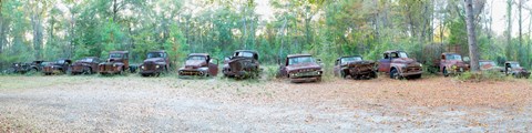 Framed Old rusty cars and trucks in a field, Crawfordville, Wakulla County, Florida, USA Print
