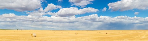 Framed Hay bales in a field, Alberta, Canada Print