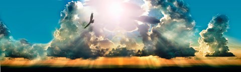 Framed Eagle flying in the sky with clouds at sunset Print