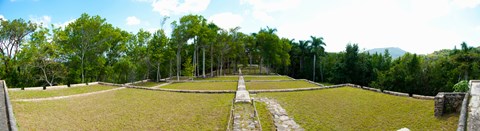 Framed Former coffee farm, Buena Vista, Las Terrazas, Pinar Del Rio Province, Cuba Print