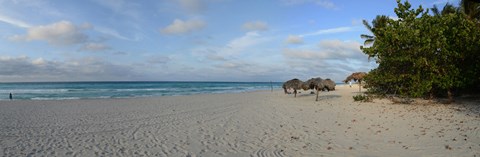 Framed Sunshades on the beach, Varadero, Matanzas Province, Cuba Print