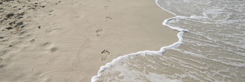 Framed Surf&#39;s edge on the beach, Varadero Beach, Varadero, Matanzas, Cuba Print