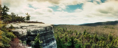 Framed Forest of trees, Gertrude's Nose, Minnewaska State Park, Catskill Mountains, New York State, USA Print
