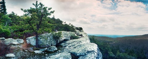 Framed Trees and boulders along the Gertrude's Nose, Minnewaska State Park, Catskill Mountains, New York State, USA Print