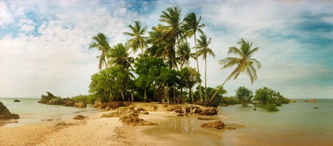 Framed Palm Trees in Morro De Sao Paulo, Brazil Print