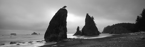 Framed Silhouette of seastacks at sunset, Olympic National Park, Washington State (black and white) Print