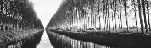Framed Belgium, tree lined waterway through countryside (black and white) Print