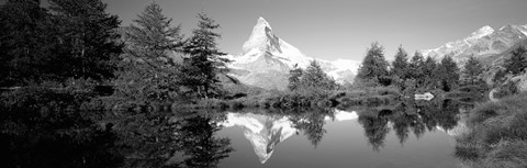 Framed Reflection of trees and mountain in a lake, Matterhorn, Switzerland (black and white) Print