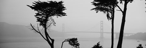 Framed Golden Gate Bridge Through the Fog (black &amp; white) Print