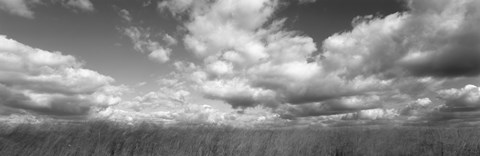 Framed Hayden Prairie, Iowa (black and white) Print