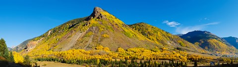 Framed Aspen trees on mountain, Anvil Mountain, Million Dollar Highway, Silverton, Colorado, USA Print