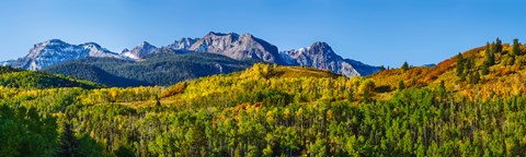 Framed Uncompahgre National Forest, Colorado Print