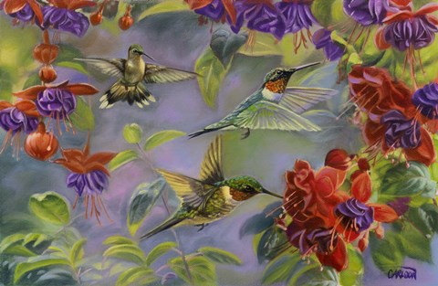 Framed Summer Gems Print