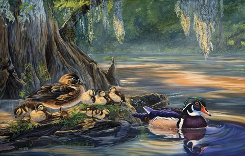 Framed Hidden Cove Print