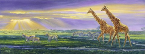 Framed After The Rains Print