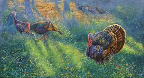 Framed Forest Edge Print