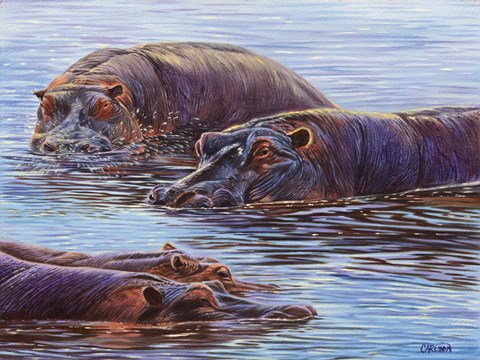 Framed Hippo Pond Print