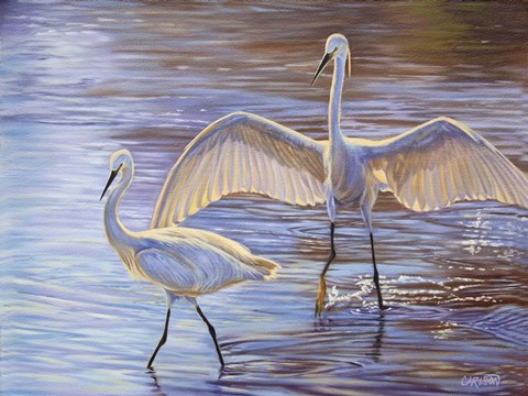 Framed Light Dance (Snowy Egrets) Print