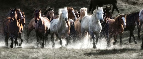 Framed Renegades Print