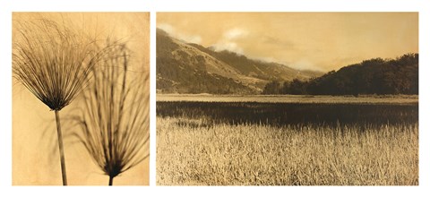 Framed Bolinas Lagoon #7 Print